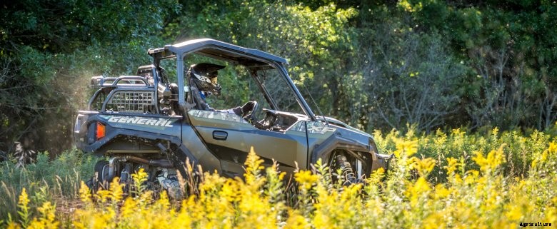 2021 Polaris General driving through yellow flowers and timber in Minnesota